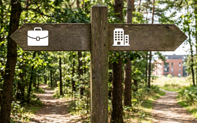 Sole Trader vs Limited Company: Which Is Right for Your Business?